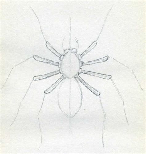 How To Draw Spider Simple Tutorial In 2022 Spider Drawing Drawings