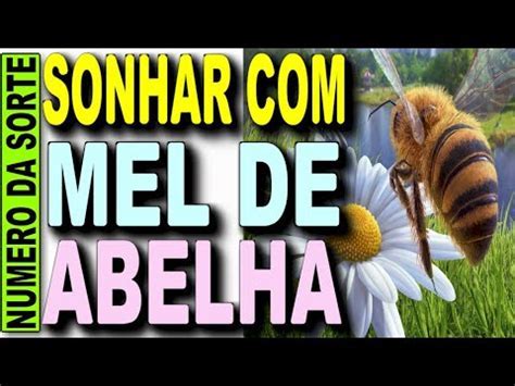 Sonhar Com Abelha E Mel - SONHAR COM MEL DE ABELHA JOGO DO BICHO