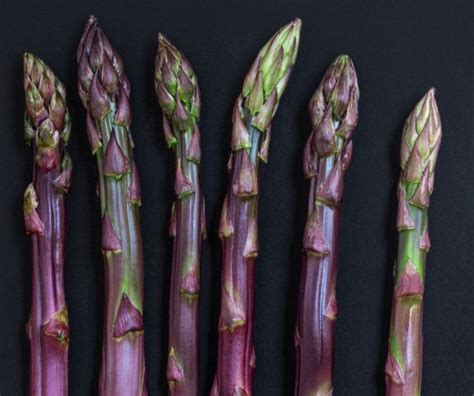 Buy Purple Asparagus Crowns Asparagus Officinalis