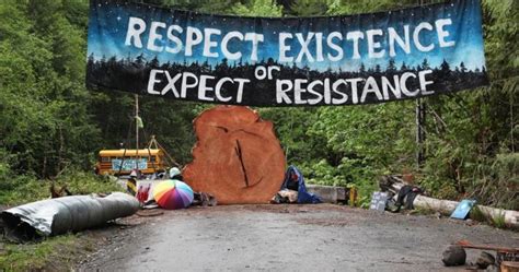 Bc Logging Injunction At Fairy Creek Extension Denied By Judge