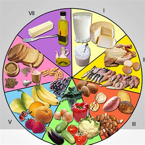 Cu L Es La Diferencia Entre Alimentaci N Y Nutrici N La Gu A De Las