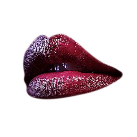 side lips png transparent side view  lips side lip lips png image