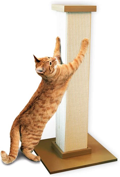 smartcat-scratching-post - iHeartCats.com