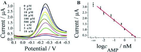 A Typical Dpv Responses Of The Biosensor To Different Concentrations