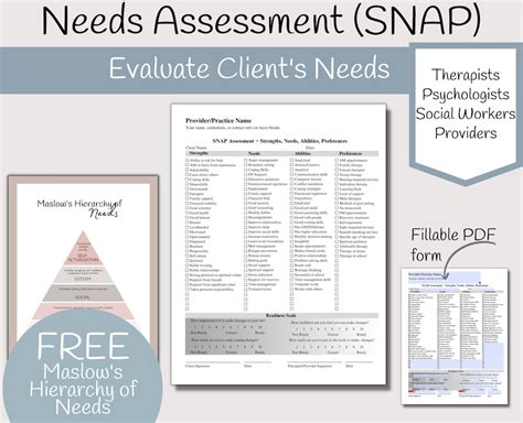 Needs Assessment Template Psychotherapy Assessment Tool SNAP Etsy