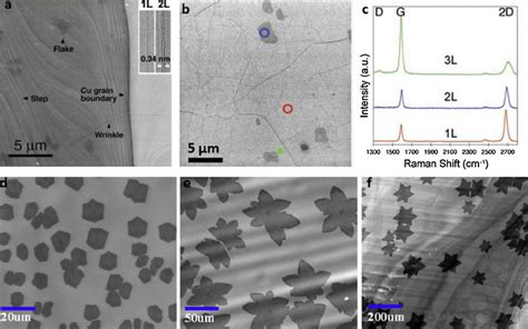 high resolution sem image  graphene  cu surface   growth