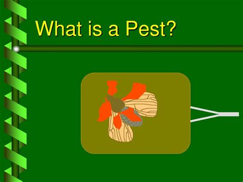 Ppt Pest Management Powerpoint Presentation Free Download Id5414397