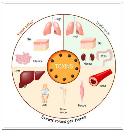 Drawing Toxins Out From The Body Repc