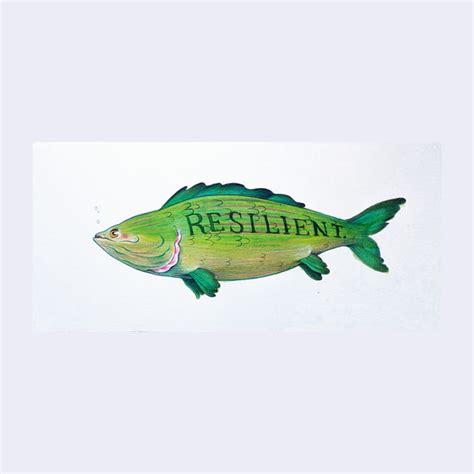 Rakugaki 6 2024 Cassia Lupo Resilient Fish Giantrobotstore