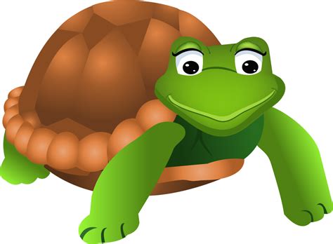 Turtle Drawing Euclidean Vector Rusa Dan Kura Kura Clipart Large