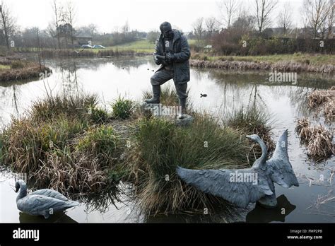 The London Wetland Centre In Barnes South West London Uk Stock Photo