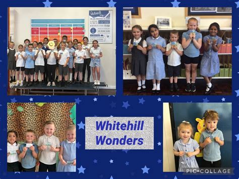 Whitehill Wonders Brinsworth Whitehill Primary School