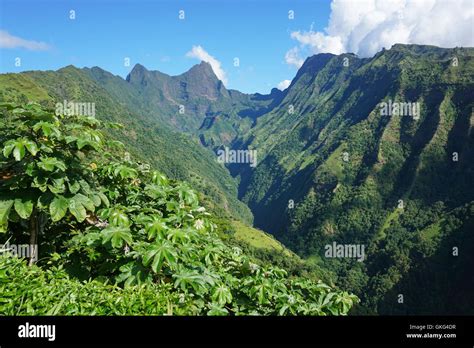 Tahiti mountain landscape mount orohena hi-res stock photography and ...