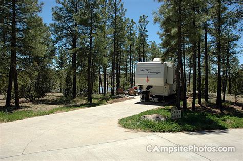 Fool Hollow Lake - Campsite Photos, Camping Info & Reservations