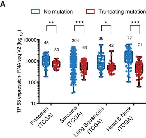 Figures And Data In Tp53 Exon 6 Truncating Mutations Produce Separation