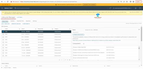 Update Esxi Servers In Vmware Cluster Using Vcenter Lifecycle Manager