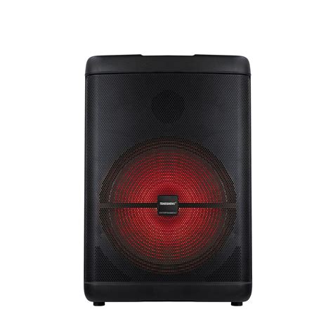 Temeisheng Oem Portable Speaker Powerful 15 Inch Speaker With Color Led