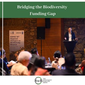 Unlocking Nature's Value: Pioneering Sustainable Investments with ...