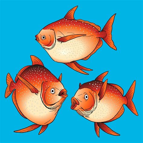 Набор теплых кровяных рыбок для премиальной упаковки | Премиум векторы