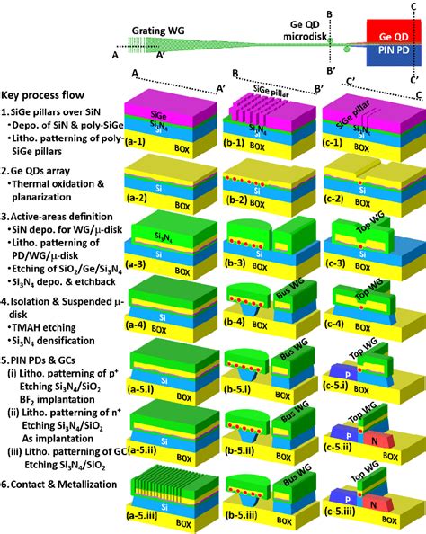 process flow  schematic diagrams  monolithic integration