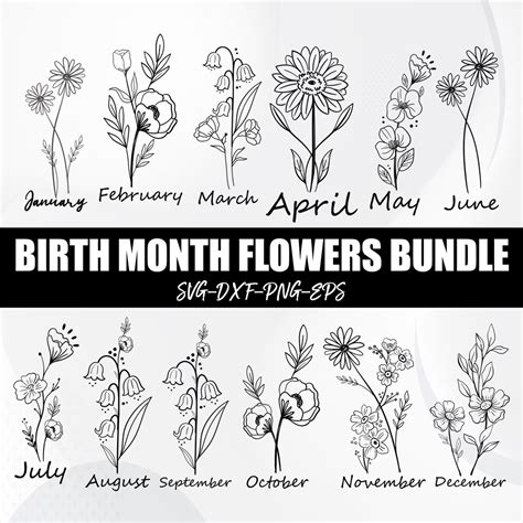 Birth Month Flower SVG Bundle Birth Month Svg Birth Month Floral