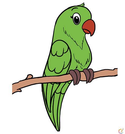 How To Draw A Parrot Step By Step For Kids And Beginners