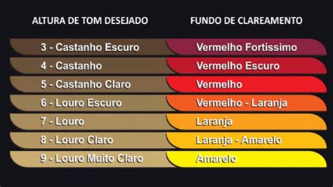 Colorimetria Capilar Na Pr Tica Blog S Oll R Brasil