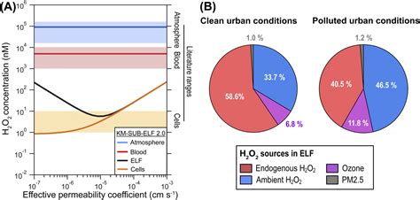 Influence Of Ambient And Endogenous H 2 O 2 On Reactive Oxygen Species