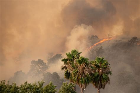 2020 California Fires: How to Help -The San Francisco Foundation