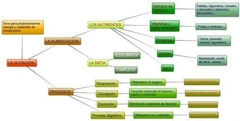 Esquema De Nutrici N Fotos Gu A