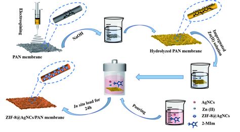 Schematic Diagram Of The Prepa [image] Eurekalert Science News Releases