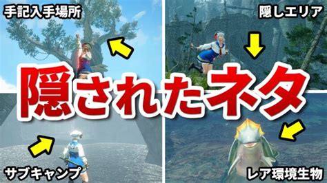 【全部知ってたら神】サンブレイクに隠された小ネタまとめてみた │ モンスターハンターライズサンブレイク攻略 Youtebe動画まとめたサイト