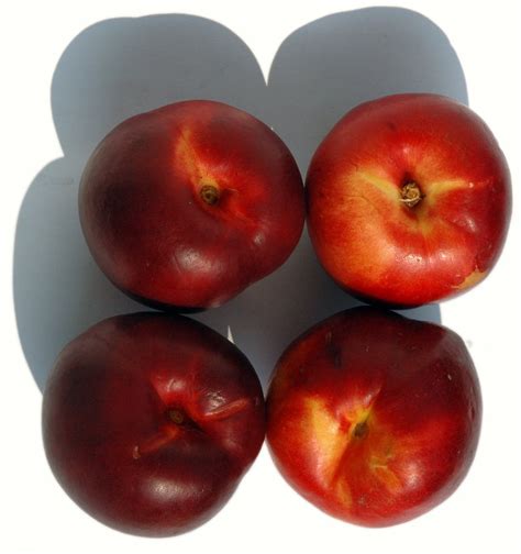 peache serie  photo  freeimages