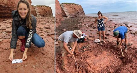 Dinozorlardan Bile Eski Canl Fosili Tesad Fen Bulundu