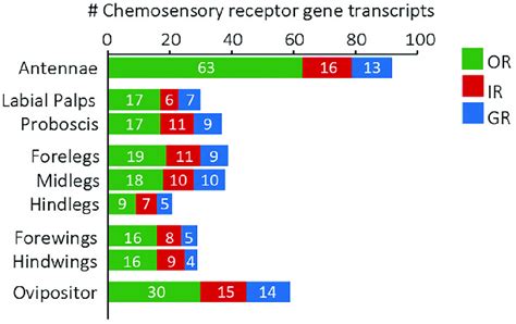 Number Of Chemosensory Receptor Gene Transcripts Expressed In Different