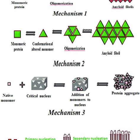 (PDF) Mechanisms of protein aggregation and inhibition