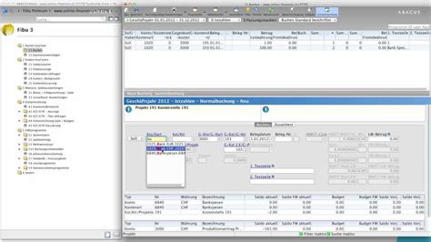 Wie Richte Ich Abacuscloud Finanzbuchhaltung Ein Youtube