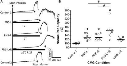 Frontiers Additive Inhibition Of Reflex Bladder Activity Induced By