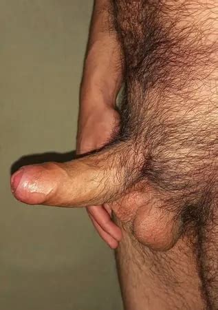 Pollon Peludo Gay Porn Videos Sex Model Nudes XHamster