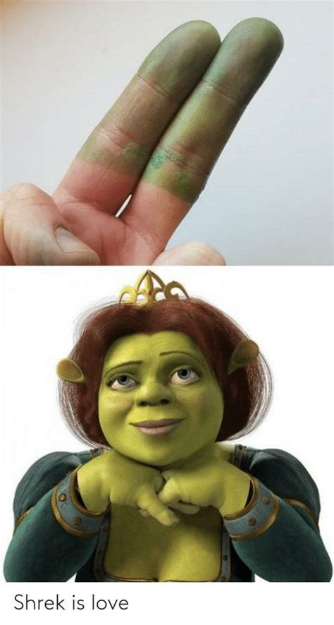 Shrek Meme Discover more interesting Donkey, Face, Giant, Green memes ...