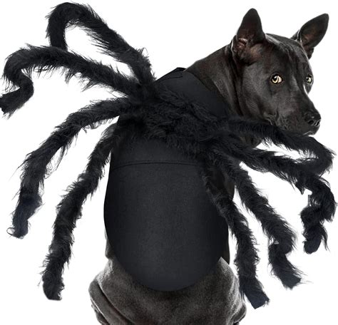 10+ Fun Pet Halloween Costumes (For dogs and cats) | Drugstore Divas