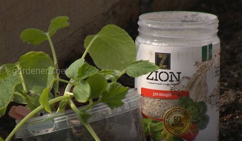 Что такое удобрение ZION? Преимущества и характеристики препарата ...