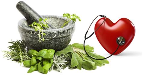 6 Best Herbs That Help Lower Cholesterol Dr Sam Robbins