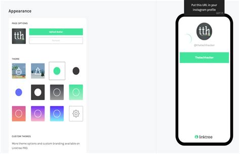 How To Use Linktree To Add Custom Links To Instagram
