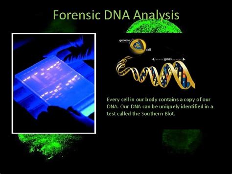 Forensic Dna Analysis Microarrays In Action Forensic Dna