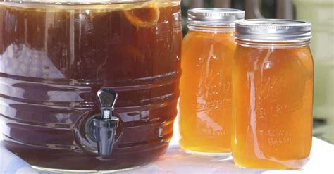 Qué Es Y Cómo Preparar Kombucha Bebida Probiótica Con Grandes Beneficios Para La Salud