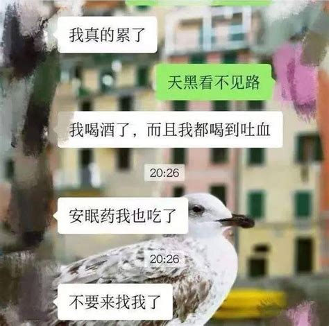 痛心！事发厦门，失联2天后，不幸消息传来救援