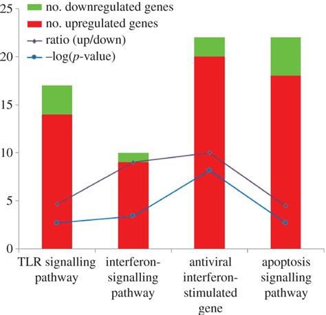 Enrichment Of Differentially Expressed Genes In Four Closely Related