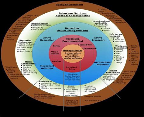 7 Ecological Model Of Four Domains Of Active Living Sallis 2006