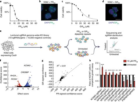 Genome Wide Crispr Cas9 Ko Screens In Human Cells Identify Modifiers